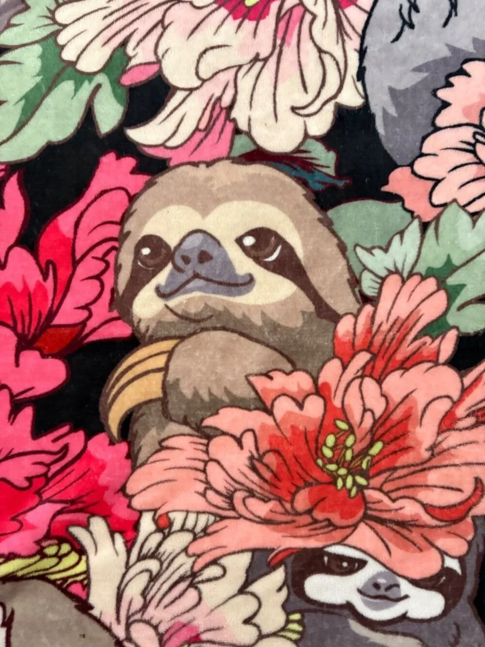 Plush Whimsical Sloth Throw With Sherpa Novelty Cute Kawaii Measures 50 x 60
